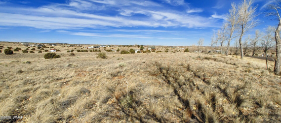 1960 Blossom Lane, Taylor, Arizona 85939, ,Land,For Sale,Blossom,259972