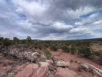 9286 Blackberry Lane, Show Low, Arizona 85901, ,Land,For Sale,Blackberry,259316