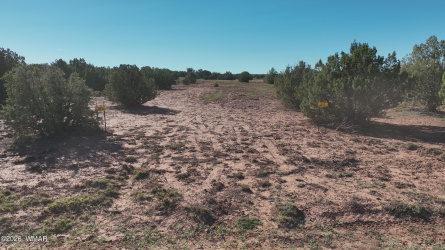 9445 Texas Lane, Show Low, Arizona 85901, ,Land,For Sale,Texas,259980