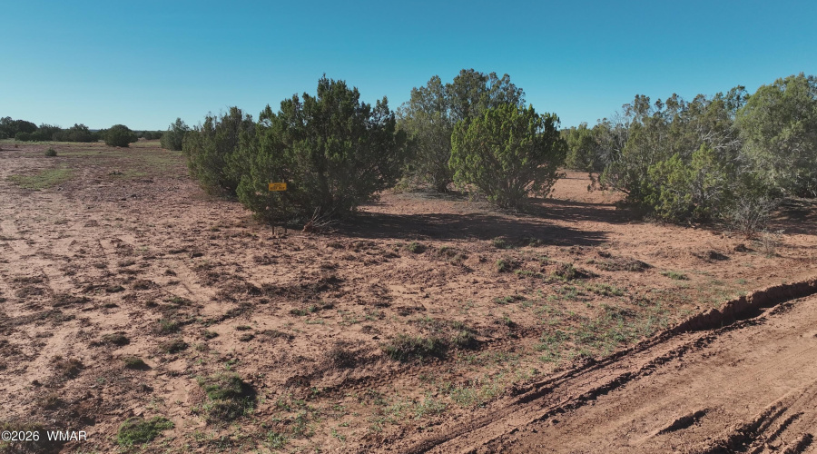 DJI_20251109094436_0004_V