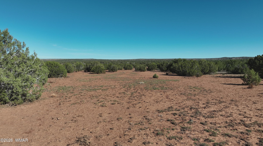DJI_20251109094611_0015_V