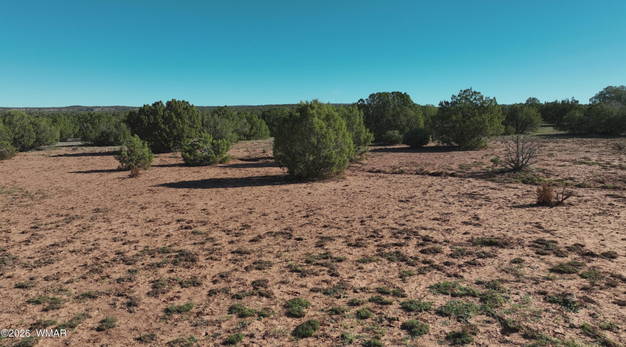 DJI_20251109094615_0017_V