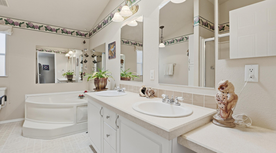Master Bathroom (1)