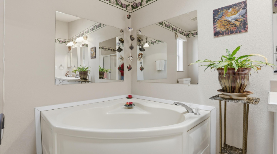 Master Bathroom (2)