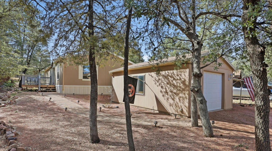 Treed Lot