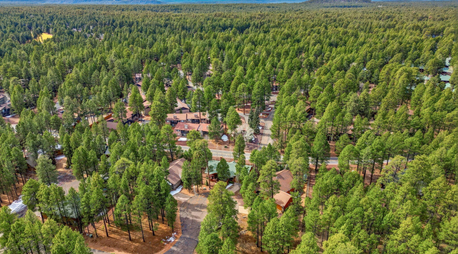 2583GreensPeakLn-Pinetop-AZ-Drones-3