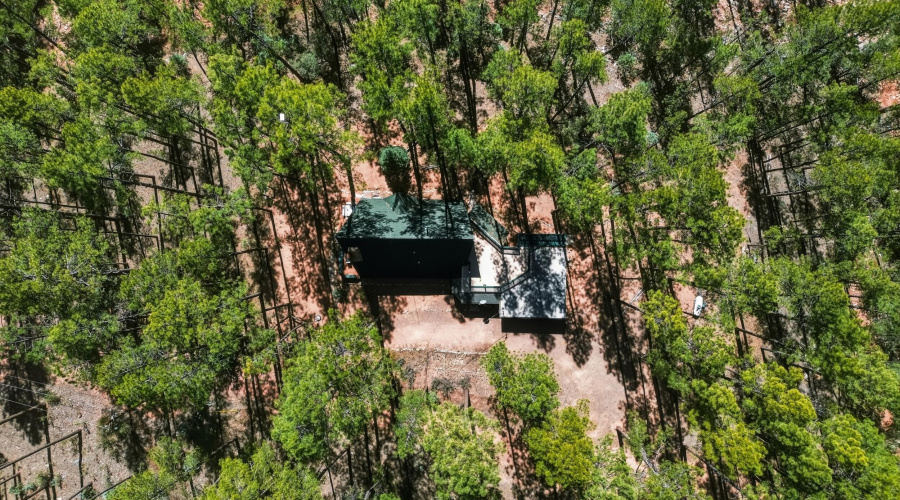 35_dji_0139
