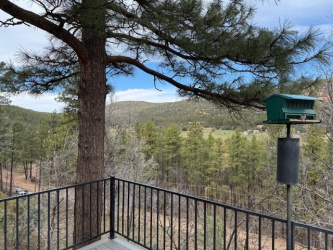 9773 Juniper Road, Strawberry, Arizona 85544, Bedrooms, ,Bathrooms,Residential,For Sale,Juniper Road,93606