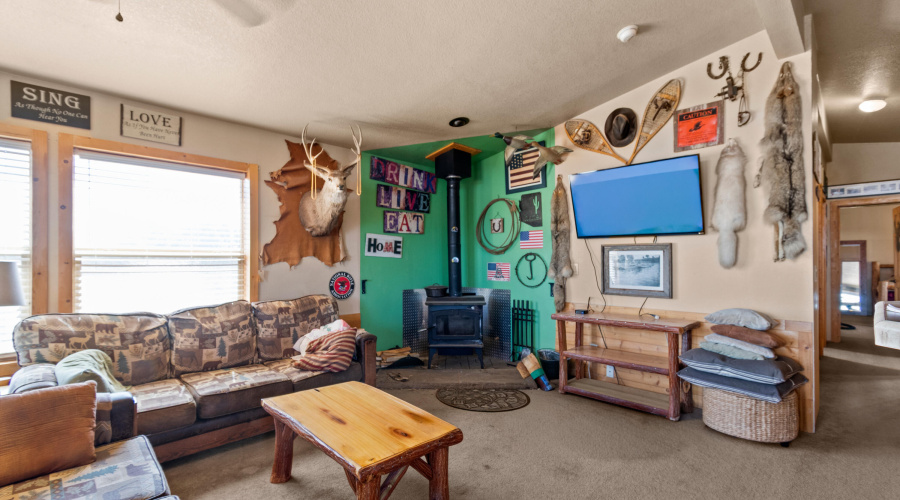 Wood Burning Stove