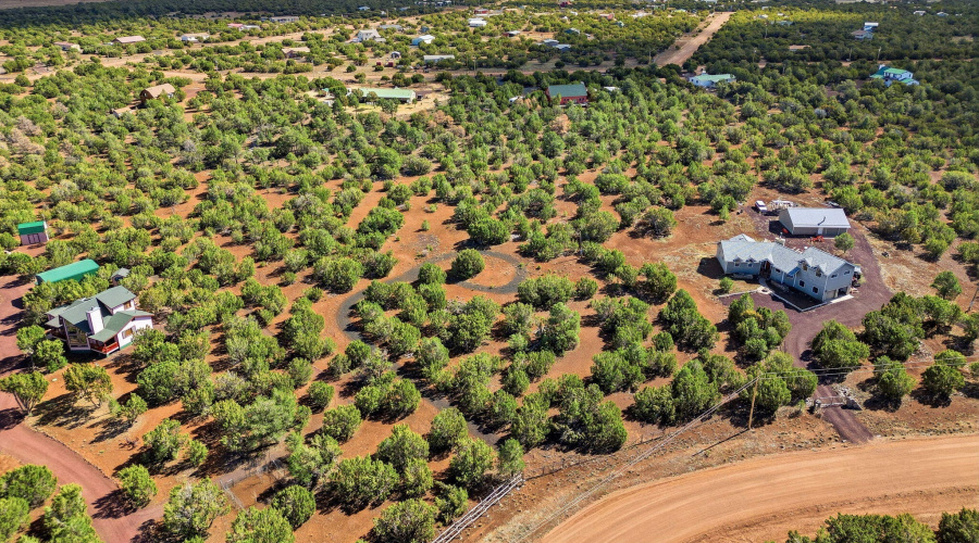 Aerial 6