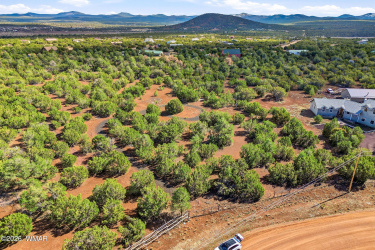 179 County Road 3158, Vernon, Arizona 85940, ,Land,For Sale,County Road 3158,260003
