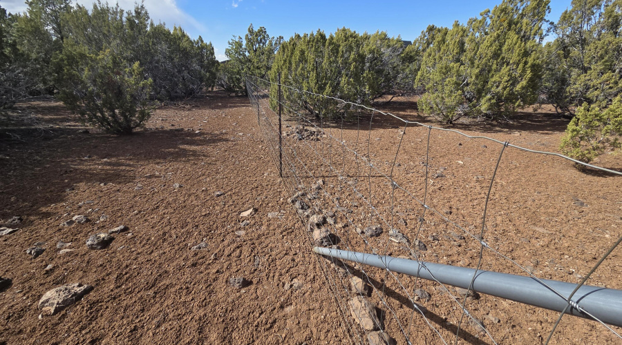 Fully Fenced