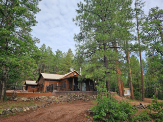 1734 Willow Mountain Road, Happy Jack, Arizona 86024, Bedrooms, ,Bathrooms,Residential,For Sale,Willow Mountain,93612