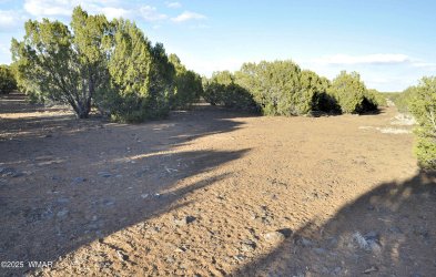 11D Lodge Pole Rd, Show Low, Arizona 85901, ,Land,For Sale,Lodge Pole Rd,258823