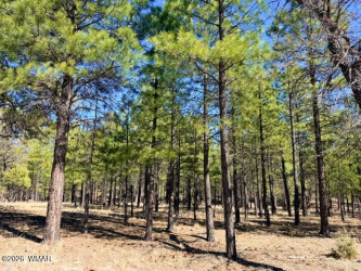 1947 Pine Canyon Drive, Happy Jack, Arizona 86024, ,Land,For Sale,Pine Canyon,260010