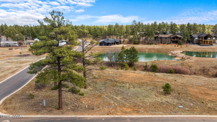 1261 Lakeside Trail, Show Low, Arizona 85901, ,Land,For Sale,Lakeside,260015