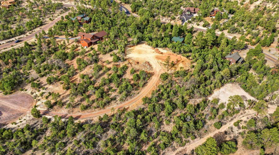 3363SpringCt-HeberOvergaard-AZ-14