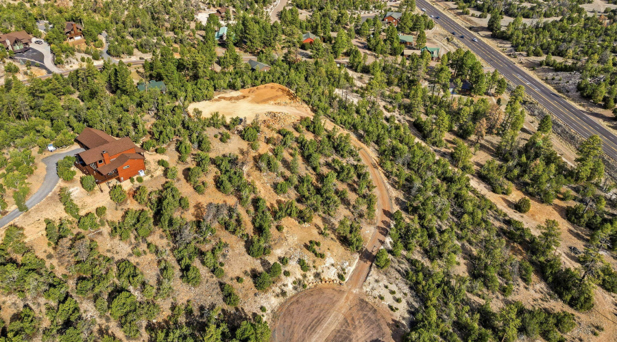 3363SpringCt-HeberOvergaard-AZ-15