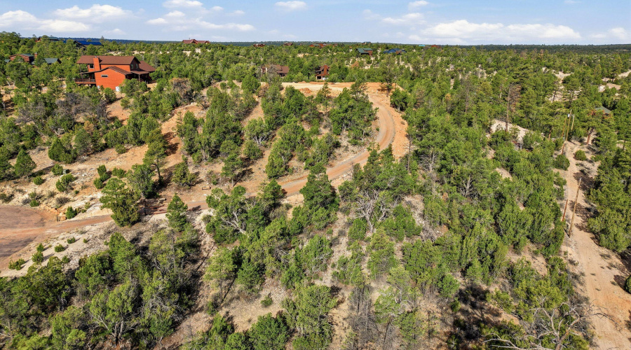 3363SpringCt-HeberOvergaard-AZ-20