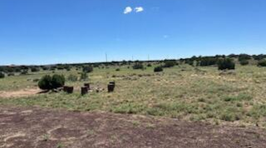 IMG_4541