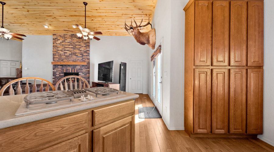 Pantry closet in the kitchen