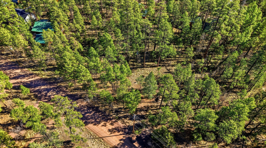 20CR2067-Alpine-AZ-7