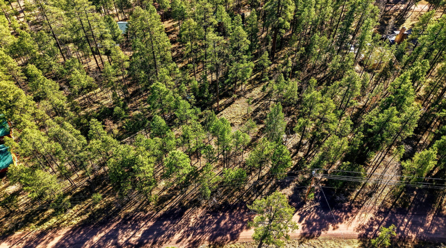 20CR2067-Alpine-AZ-8