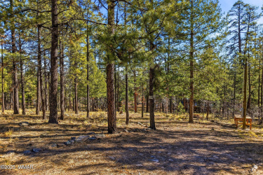 20 Co Rd 2067, Alpine, Arizona 85920, ,Land,For Sale,Co Rd 2067,258988