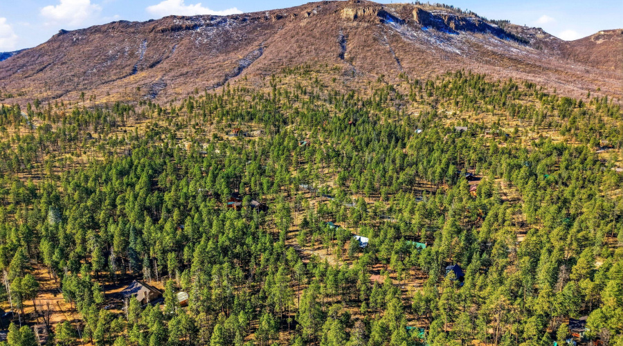 20CR2067-Alpine-AZ-3