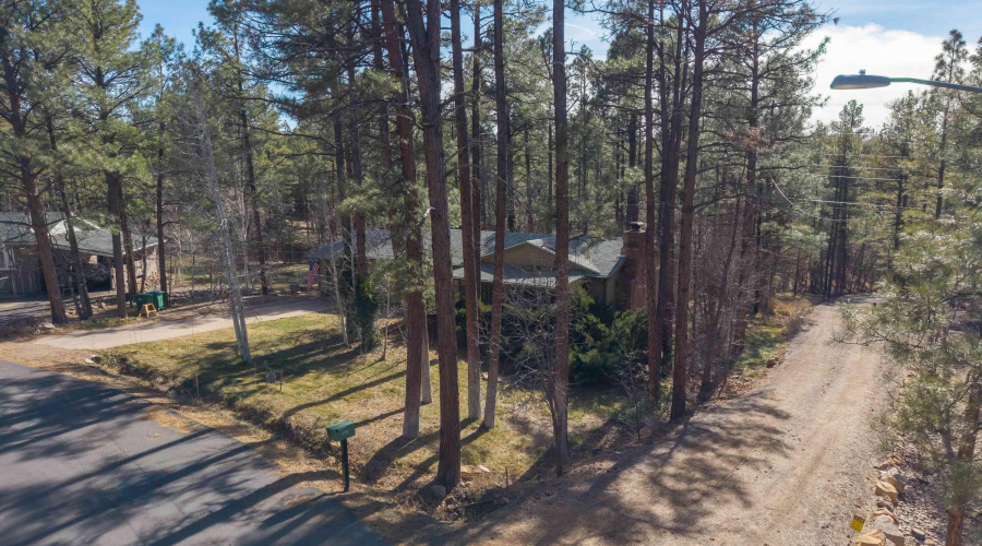 In the tall pines of Show Low, AZ