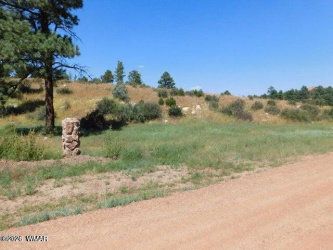 2806-2808 Pine Hill Drive, Overgaard, Arizona 85933, ,Land,For Sale,Pine Hill,260061