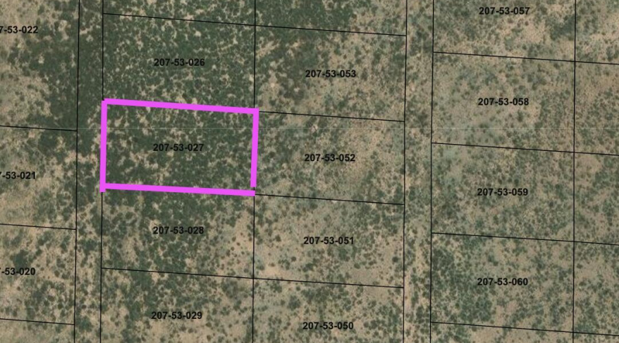 Bell Brand Ranches