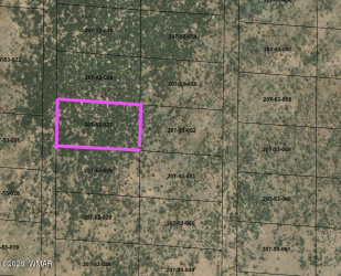 207-53-027 Bell Brand Ranches, Sanders, Arizona 86512, ,Land,For Sale,Bell Brand Ranches,260059