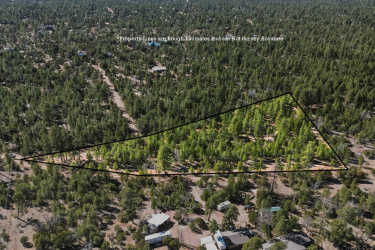 2397 Wigeon Way, Happy Jack, Arizona 86024, ,Land,For Sale,Wigeon,93630