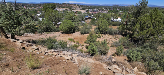208 Ridge Lane, Payson, Arizona 85541, ,Land,For Sale,Ridge,92904