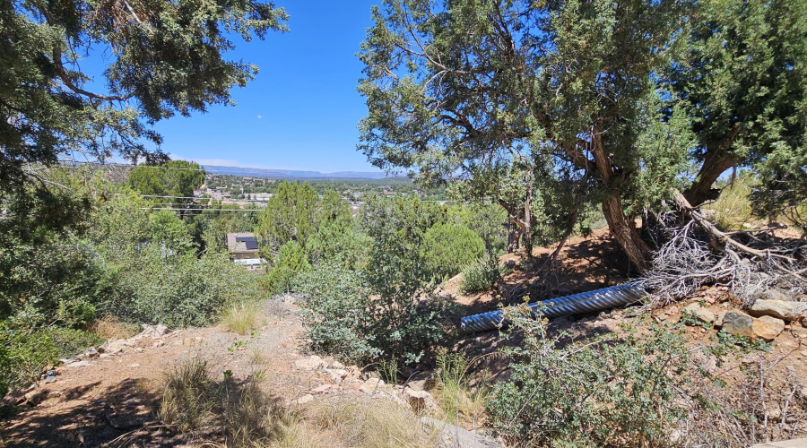 20260514_124533