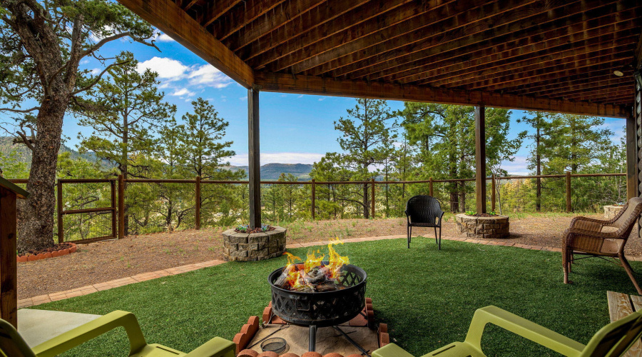 BACKYARD 1