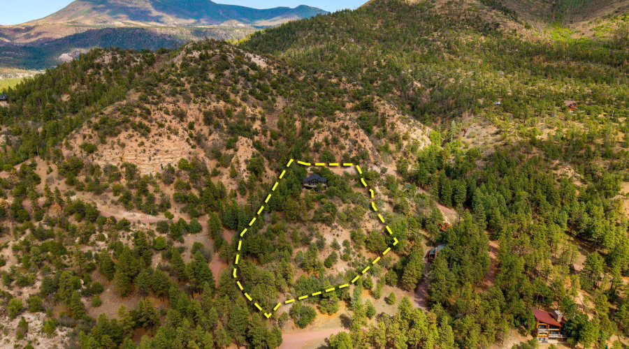 AERIAL 1