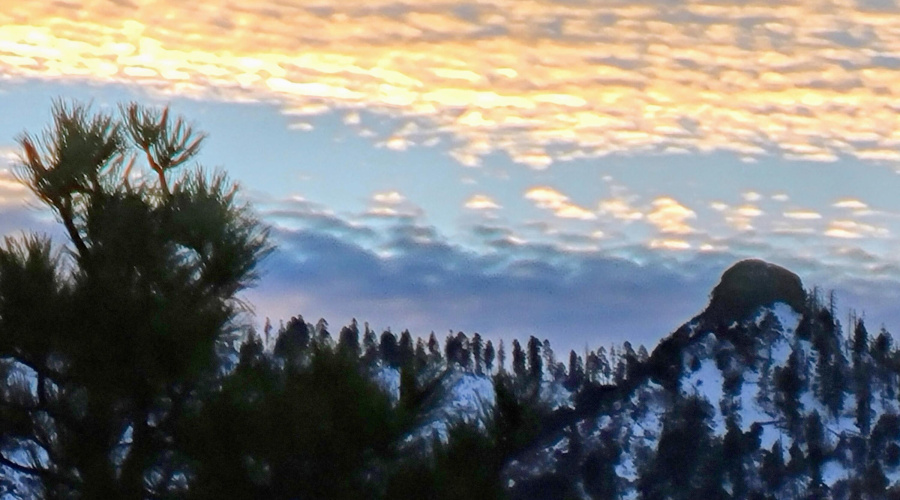 WINTER 3
