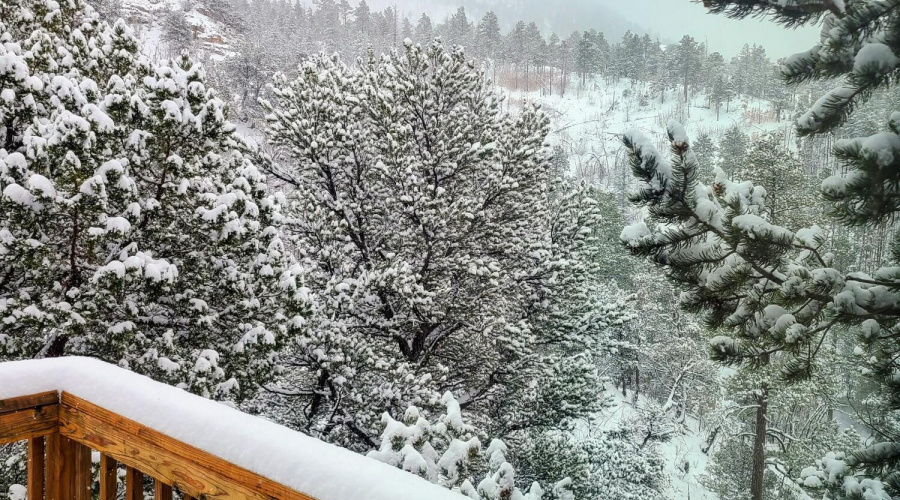 WINTER 4