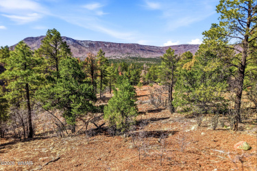 TBD CR N2278, Nutrioso, Arizona 85932, ,Land,For Sale,CR N2278,260077