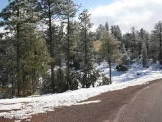 3378 Windy Lane, Heber, Arizona 85928, ,Land,For Sale,Windy,260091