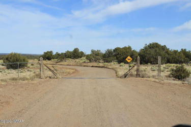 4466 Stanley Lane, St. Johns, Arizona 85936, ,Land,For Sale,Stanley,260085