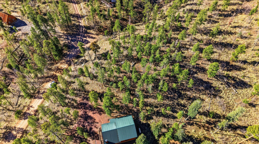 12WPergatoryDr-Alpine-AZ-10