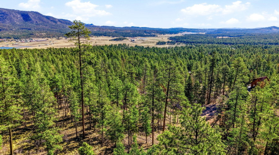 12WPergatoryDr-Alpine-AZ-12