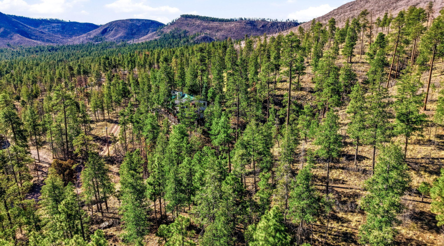 12WPergatoryDr-Alpine-AZ-13