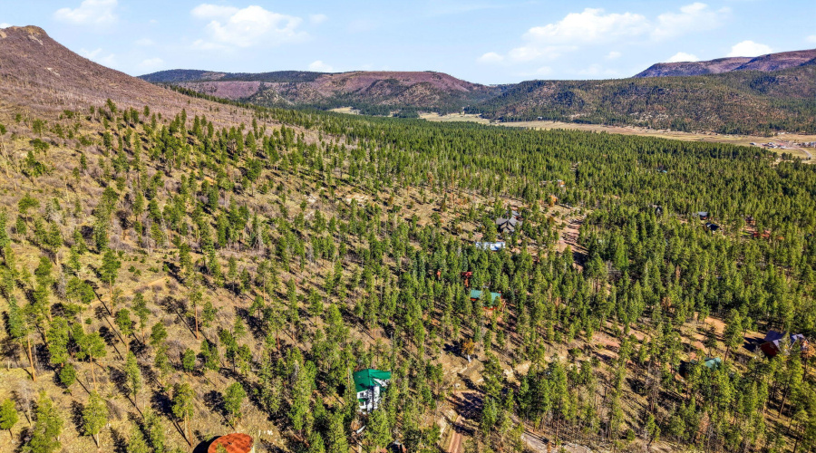12WPergatoryDr-Alpine-AZ-14