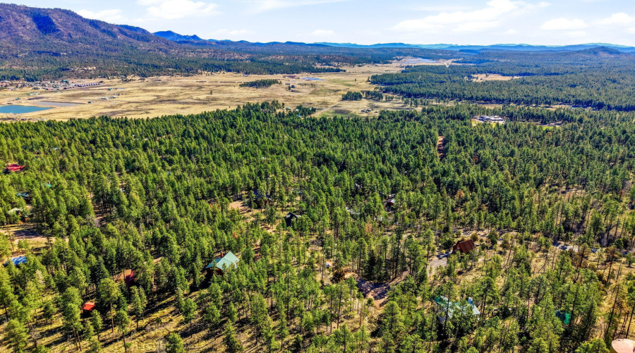 12WPergatoryDr-Alpine-AZ-16
