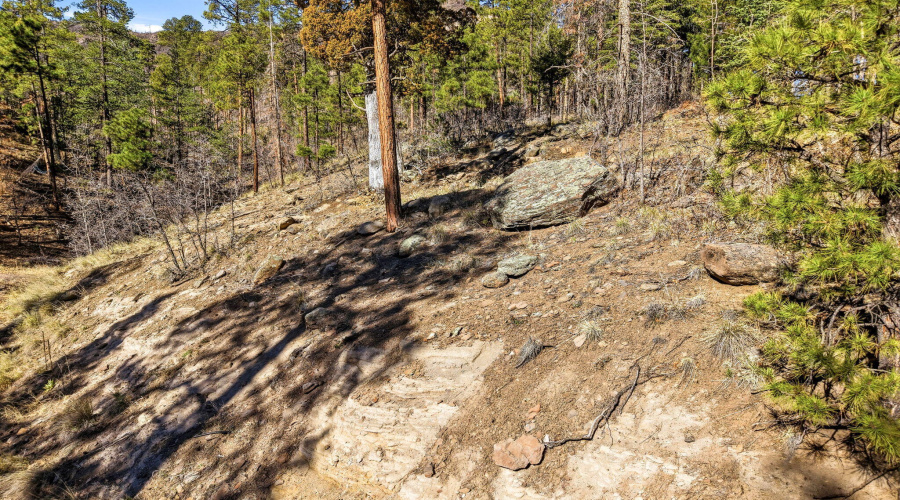 12WPergatoryDr-Alpine-AZ-1