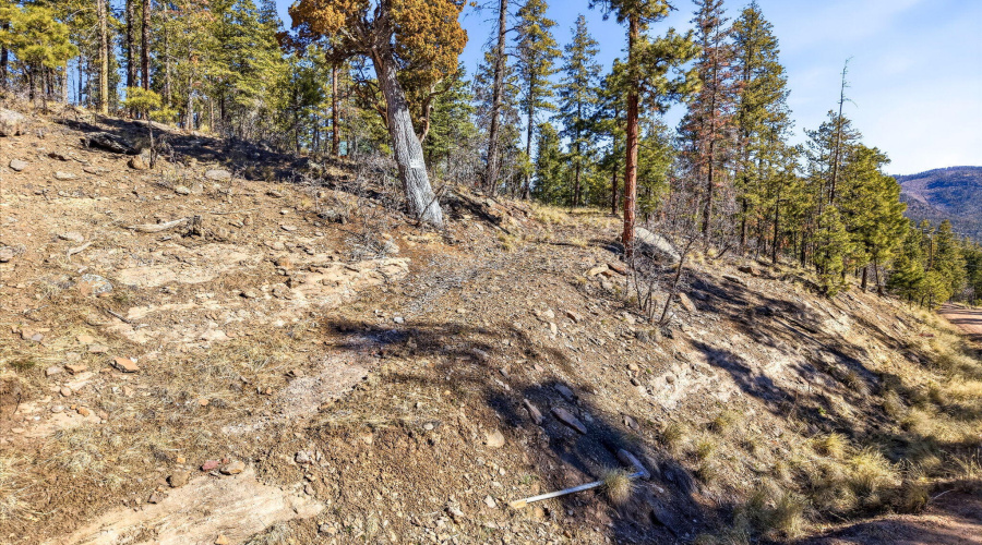 12WPergatoryDr-Alpine-AZ-2